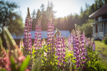 Fototapete bei efototapeten.de bestellen   