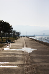 tree-lined walking path along the coastline at sunrise