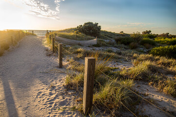 Obraz premium fence in the dunes