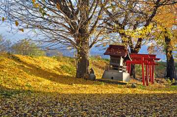 晩秋の米沢・最上川（松川）築堤の稲荷堂