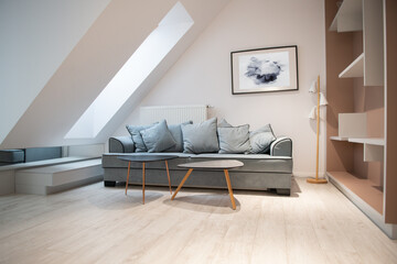 Modern design home interior of studio living room and kitchen in mansard with sofa and elegant...