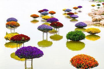 호수위의 꽃무리