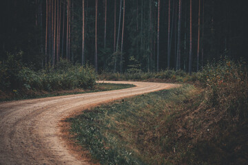 road in the woods