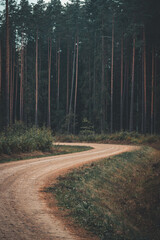 lonely winding gravel road in the woods