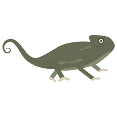 Obraz premium Old world type lizard chameleon icon design 