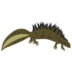 
Gekkonidae flat icon vector graphic 
