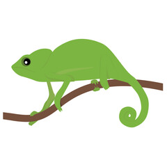 
Old world type lizard chameleon icon design 
