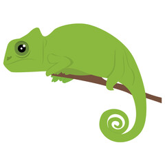 
Old world type lizard chameleon icon design 
