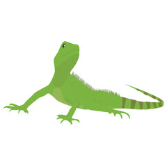 Fototapeta premium A flat icon design of a lizard 
