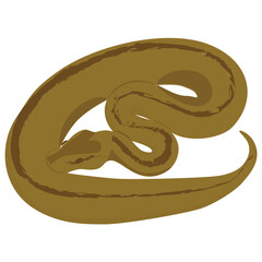 
An isolated snake flat icon vector 
