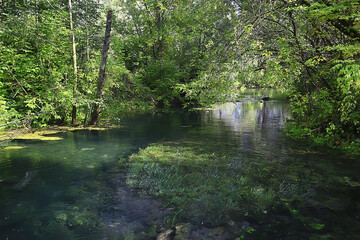 river in autumn forest landscape, abstract view, trees on the banks of a small river