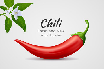 Chili peppers red fresh with leaves and flower chili realistic design, on gray background, Eps 10 vector illustration - obrazy, fototapety, plakaty