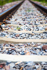 Railroad for train to Chiangmai, Thailand