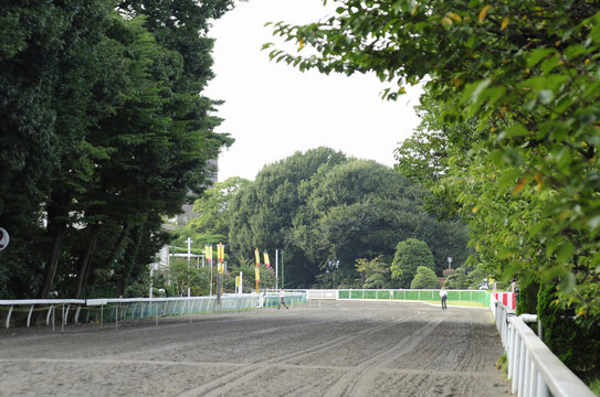競馬場
