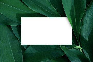 Business card on natural leaves background. Green leaves. Modern mock up for business. Nature shop card