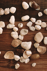 Close up decorative stones of different beige white gold shades on a blurred brown wooden table. Natural material. Top view