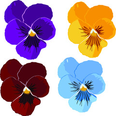 delicate spring flower violet for gifts, jewelry, design, presented in different colors, blue, yellow, lilac and Burgundy