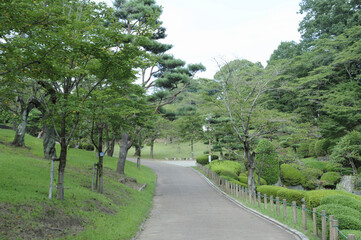 八幡山公園の緑