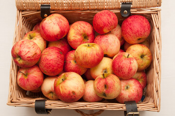 Fototapeta na wymiar Fresh apples in wicker basket. Agriculture. Harvest concept. Fall food