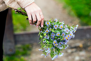 A bouquet of lilac daisies in the girl's hand

