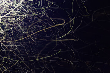 Abstract blurry background with many bright lines, random traces of flying insect movement at night in light of lantern.