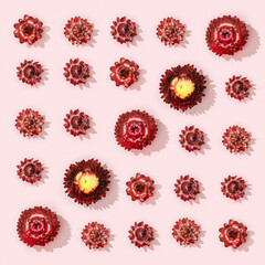 Fototapeta premium Flowers composition from dried red flowers on soft pink. Floral design pattern.
