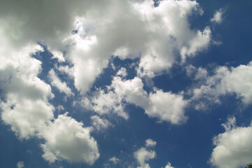 雲