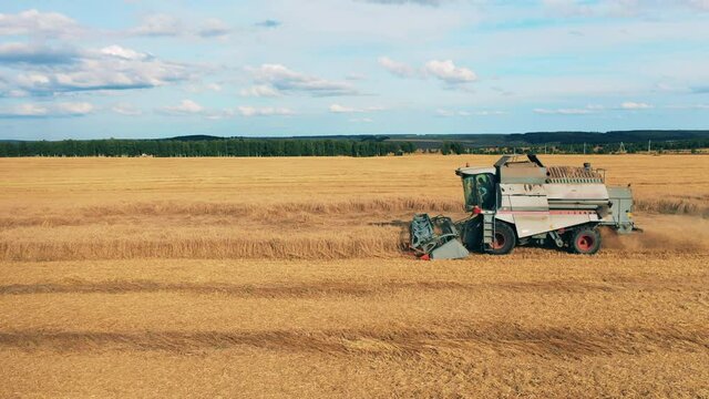 Reaping machine is harvesting rye while riding along the field