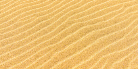 Ripples in the gulden sand 