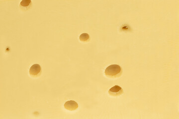 Beautiful and delicious piece of Maasdam cheese