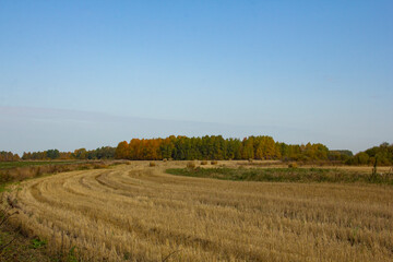 Rural landscape in early autumn. Poles, mowed grass, fields and meadows. Small villages and farms