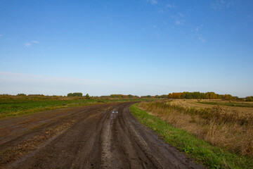 Fototapeta na wymiar Rural landscape in early autumn. Poles, mowed grass, fields and meadows. Small villages and farms