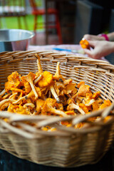 Lots of raw chanterelle mushrooms in a basket. Close-up. Selective focus on subject.