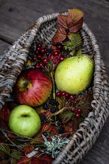 Autumn harvest. Basket with pear, two apples, blackberries,  guelder rose berries and red leaves.