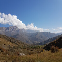 Fototapeta premium landscape with sky