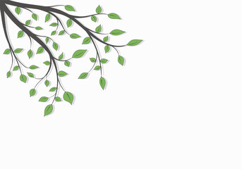 Tree branch with green leaves with space for text on a white background