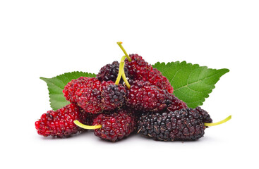 Mulberry with green leaves on white background.