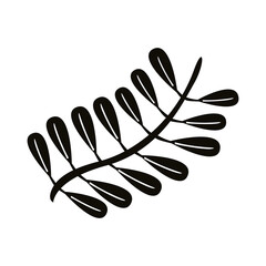 autum pinnate leaf silhouette style icon