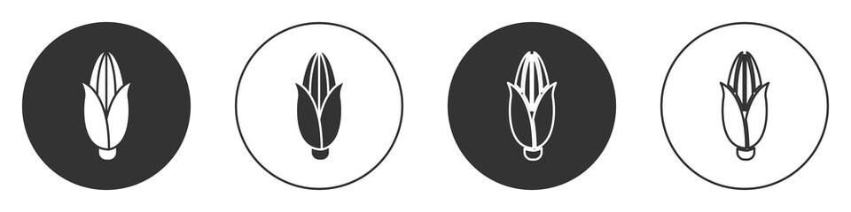 Black Corn icon isolated on white background. Circle button. Vector Illustration.