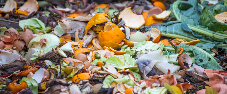 Compostagem com cascas de frutas e vegetais