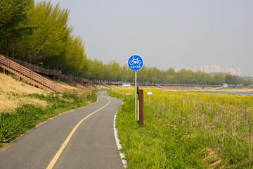 은행나무 자전거길