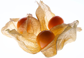 Physalis Fruit