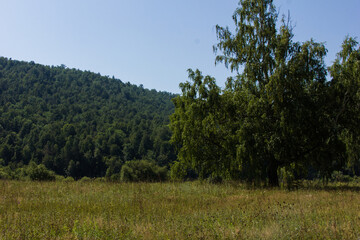 Shulgan-Tash Nature Reserve