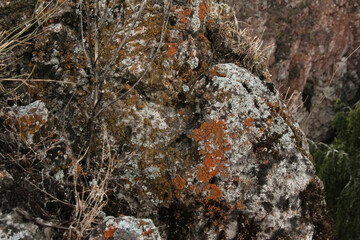 Rock, stone closeup, Bashkortostan