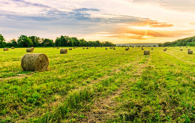Scenic view at beautiful sunset in a green shiny field with hay stacks, bright cloudy sky , trees and golden sun rays with glow, summer valley landscape © Yaroslav