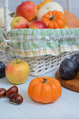 Fototapeta na wymiar autumn composition for Thanksgiving and Halloween. harvest. basket with white and orange pumpkins of different sizes, plums, apples, cinnamon sticks, chestnuts, wooden table