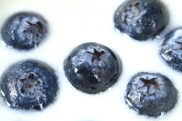 close up of fresh yogurt with blue berry in a bowl 