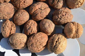 orzech włoski ,orzech Polski ,orzech  Włoski ,natura jesienią , na  obraz , na fototapetę , na naklejkę , obraz kolory jesieni , Polska jesień , kolorowa Polska jesień , wzór na płytki , wzór na tapet