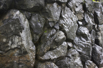 雨に濡れた石垣