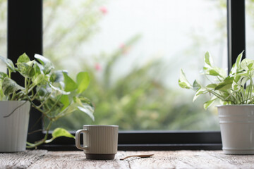 Vintage coffee mug with green plant pot on wooden table infront of windows 
